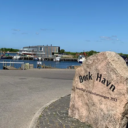 Ferienhaus Ff1003 I Bork Havn Hemmet