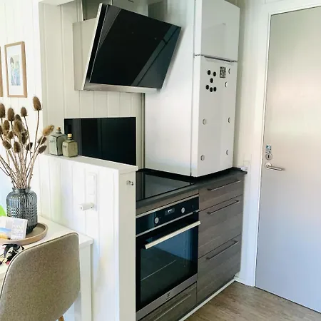 Ff1003 I Bork Havn Ferienhaus
